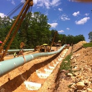 Meet your Posher, Allen